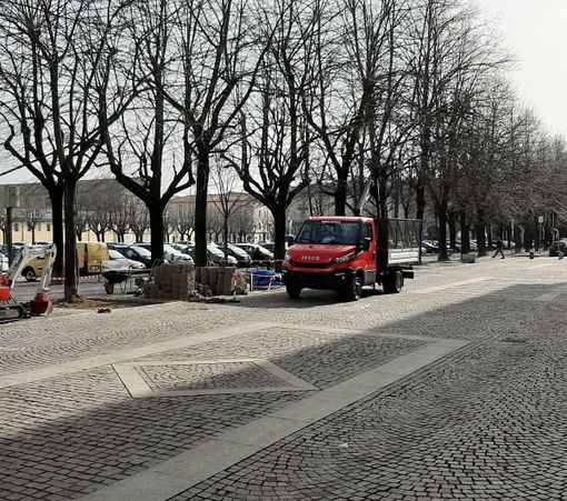 Il Comune di Pinerolo cura le piante di piazza Vittorio Veneto che “faticano a respirare” Il Comune di Pinerolo cura le piante di piazza Vittorio Veneto che “faticano a respirare”