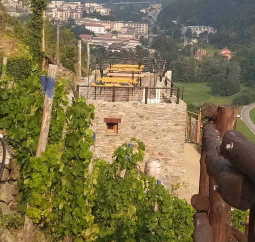 A Pomaretto si parla di clima e si radunano tredici bande musicali A Pomaretto si parla di clima e si radunano tredici bande musicali