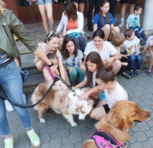 Passeggiata a 6 zampe e ‘Marenda Sinoira’ alla Fera d’le Capline di Pinasca Passeggiata a 6 zampe e ‘Marenda Sinoira’ alla Fera d’le Capline di Pinasca