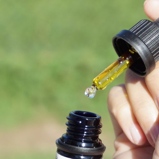 Olio CBD: un prodotto in rapida ascesa