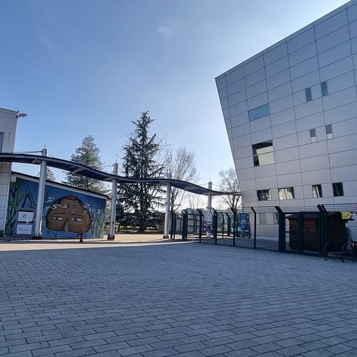 Il polo del ghiaccio a Pinerolo