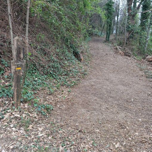 La pista ripulita