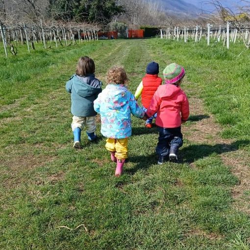 Bambini nei campi de Gli Gnomi dei Kiwi