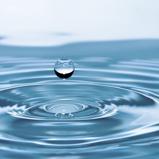 Gestione dell’acqua: una rappresentanza del Pinerolese in Regione