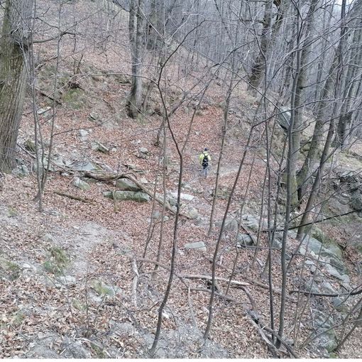 Pista dei pastori Alta Val Pellice tratto prima dei lavori
