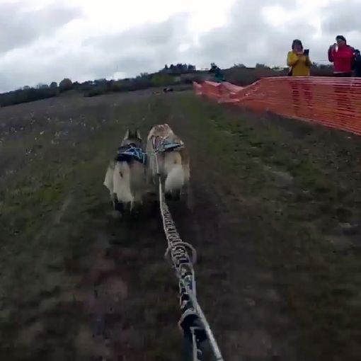 Europei bikejoring a due cani: il bibianese Vercellone si difende nel fango
