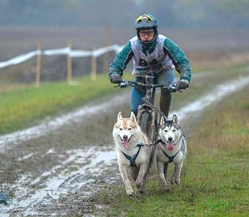 Il bibianese Vercellone chiude quinto, sotto la pioggia, il suo primo Europeo di bikejoring