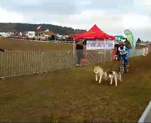 Il bibianese Vercellone quinto di categoria alla prima prova di bikejoring degli Europei