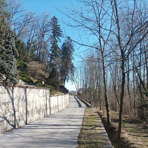 Via Bassa del Castello