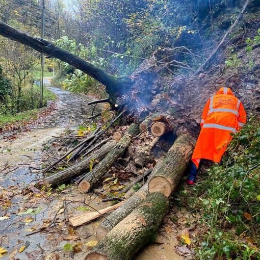Gli Aib alla Comba Carbonieri