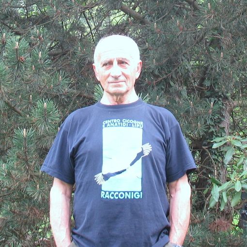 Mario Boschi