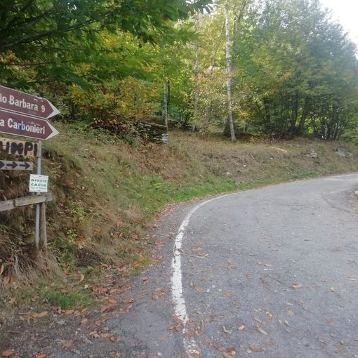 La strada per la Comba Carbonieri