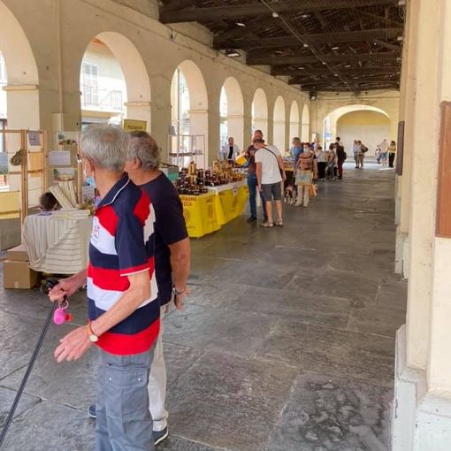 Cavour progetta un apiario didattico permanente con Alveare