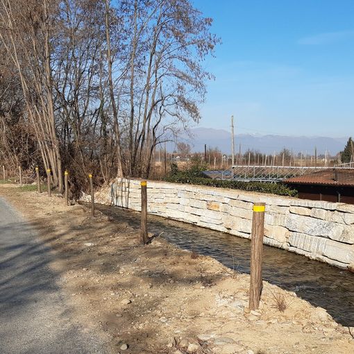 Più siepi a Cavour per conservare paesaggio e biodiversità naturale