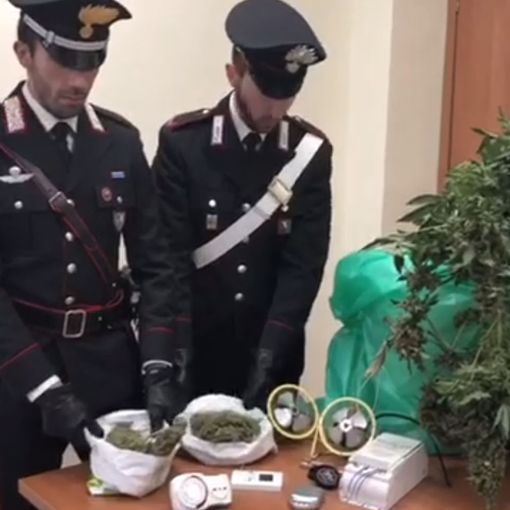 Il materiale e la droga sequestrata al pusher di Frossasco