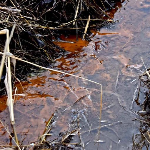 «Quella sostanza melmosa non ci piace», il Comitato Valnoce Ambiente e Salute chiede rassicurazioni sugli scoli