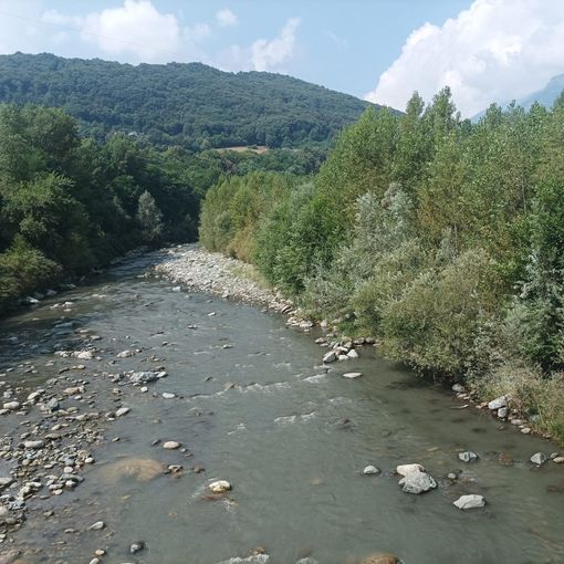 Il Pellice torbido