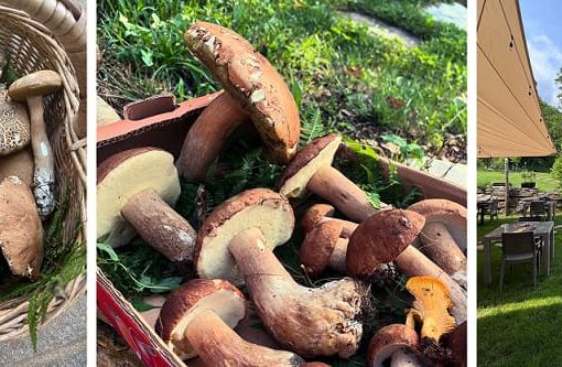 Al Ristorante Orselli di Melle la stagione è giusta, e ricca, di profumi di fine estate