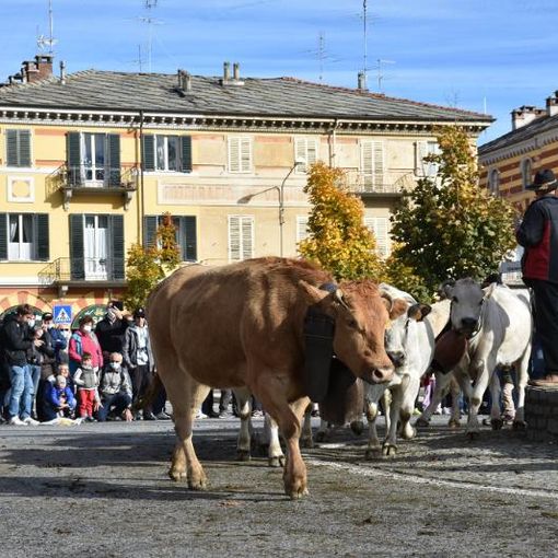 Luserna San Giovanni attende la carica dei 4 mila e adegua il percorso
