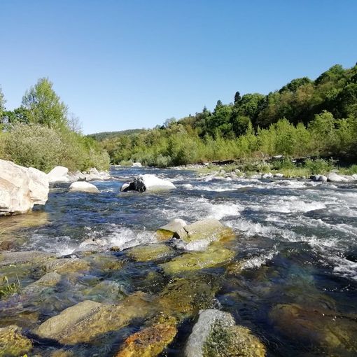 ‘Il Pellice soffre’: un incontro per ascoltare i primi dati di un monitoraggio sulla qualità dell’acqua