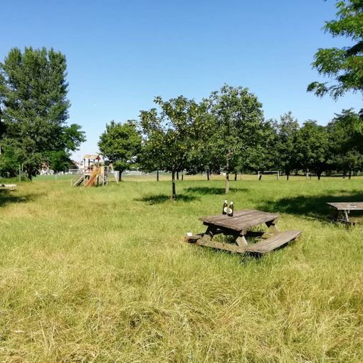Nuovi arredi per l’area verde sul Pellice semi abbandonata a Luserna San Giovanni