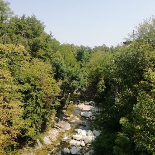 Il torrente Luserna