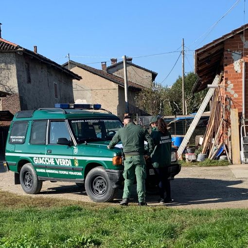 (Foto di repertorio)