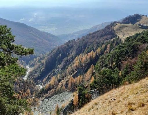 Legambiente Piemonte e Valle d’Aosta e Parco Alpi Cozie ‘duellano’ su ricerca e tutela del lupo