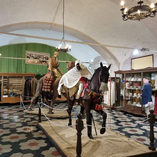Una delle sale del Museo della Cavalleria