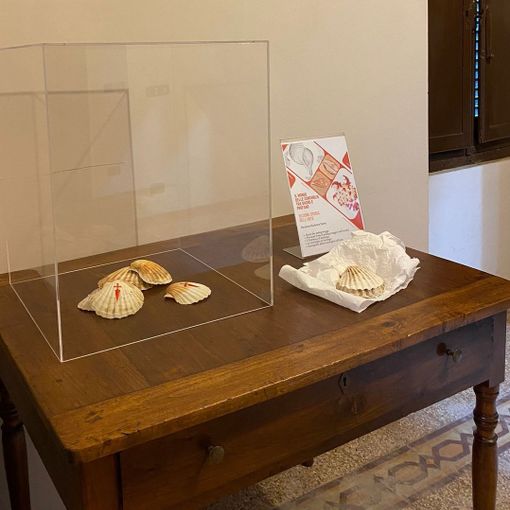 La mostra è stata allestita nei locali di Villa Prever