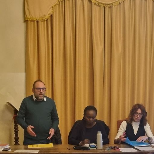 Luca Milana (in piedi) alla Commissione del 30 novembre
