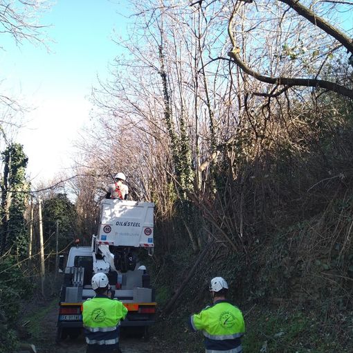 Forti raffiche di vento: 60 interventi nel fine settimana a Pinerolo