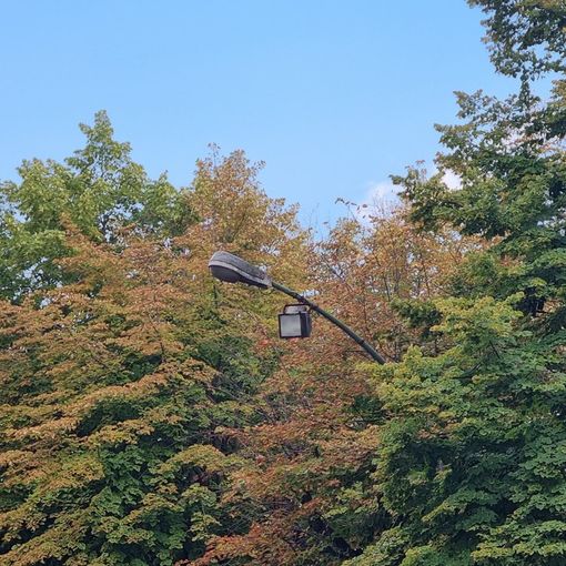 Rivoluzione led: da domani i lampioni di Pinerolo passano ad Aeb e Selettra