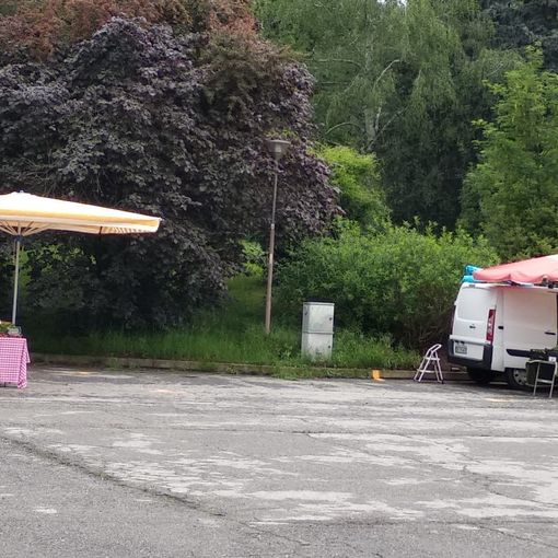 Il mercato di stamattina in piazza Avis a Pinerolo (foto di Cinzia Consolati)