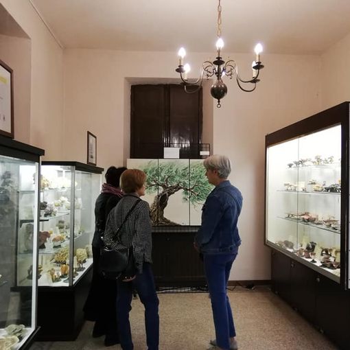 Museo Strani scienze naturali Pinerolo