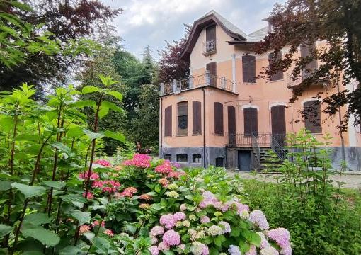 Le ortensie a Villa Prever a Pinerolo