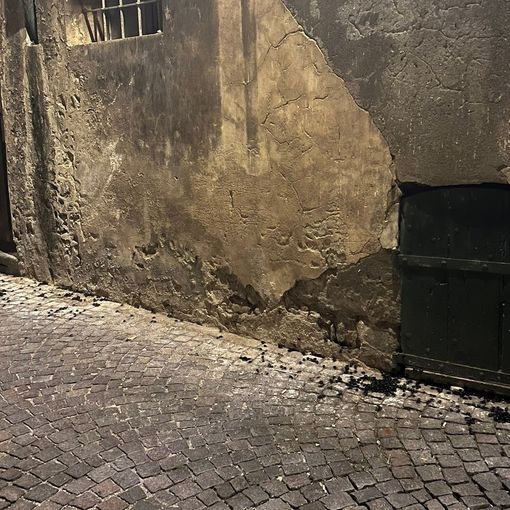 Gli scarafaggi in via del Pino
