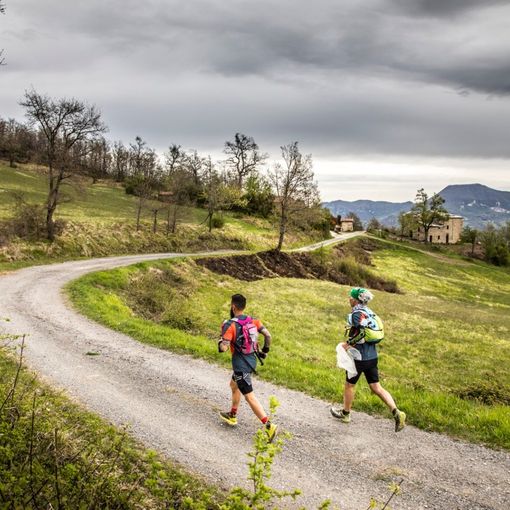 Il plogging