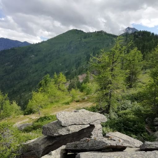 I boschi di Rorà