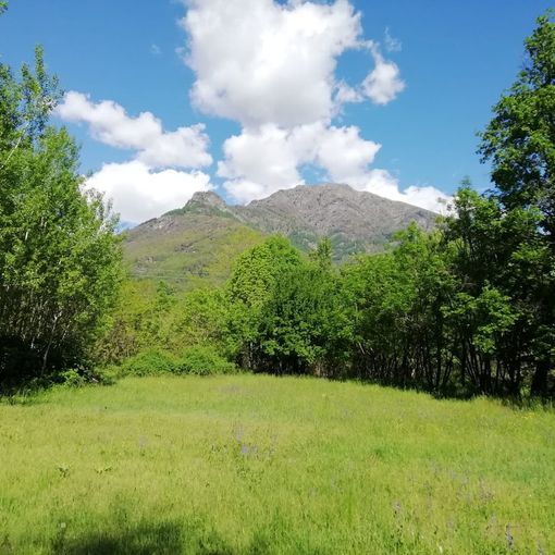 Uno scorcio della Val Pellice