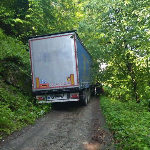 Il camion impantanato