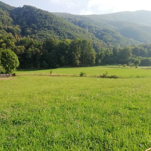 In Val Pellice una pista tutta nuova per mucche e ciclisti
