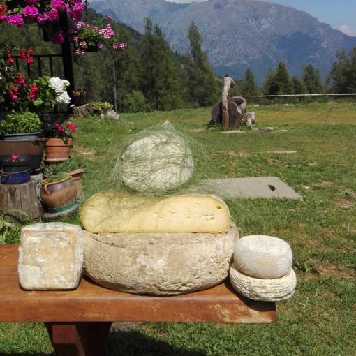 La Val Pellice vuole la sua toma entro l’autunno del 2022