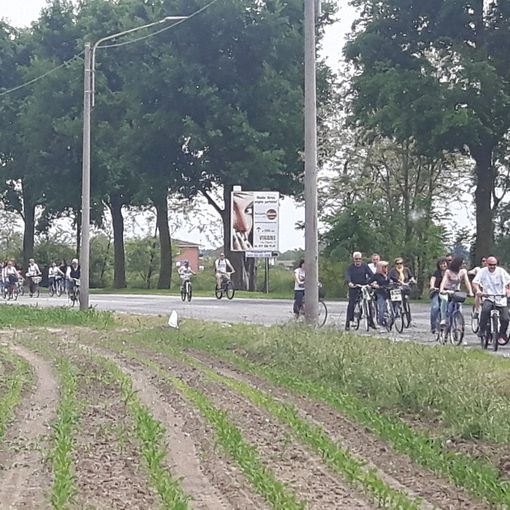 (Foto di repertorio)