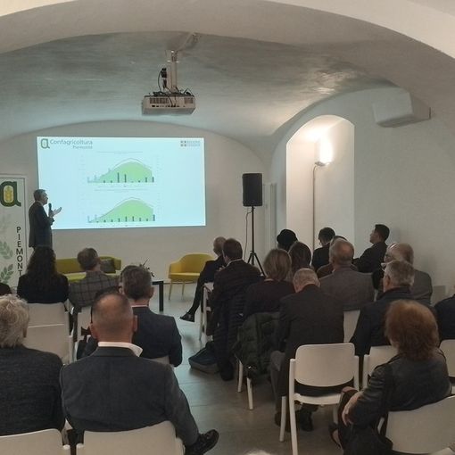 agricoltore nei campi