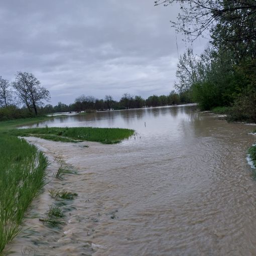 Alluvione di aprile, presto i sopralluoghi dei funzionari del governo per i risarcimenti Alluvione di aprile, presto i sopralluoghi dei funzionari del governo per i risarcimenti