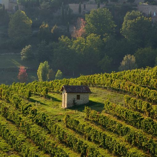 La cantina Produttori di Govone apre le porte al pubblico