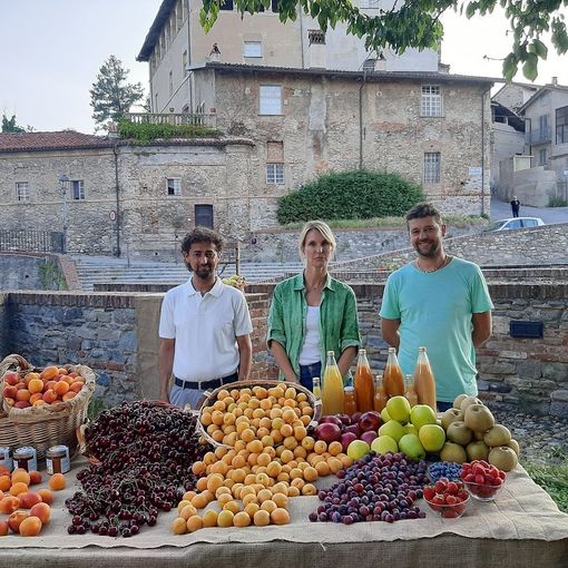 Prima Sagra dell’Albicocca Tonda di Costigliole Saluzzo, sabato 9 e domenica 10 luglio