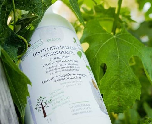 I prodotti a marchio BioDea per un'agricoltura sostenibile presentati nei prossimi eventi di settore a settembre