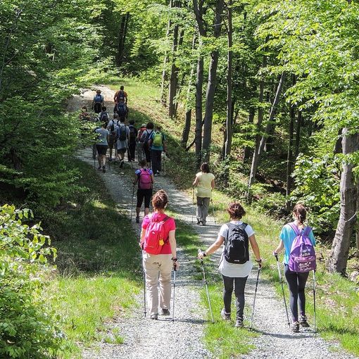Al Colle del Lys il 3 luglio la commemorazione dei Caduti della Resistenza